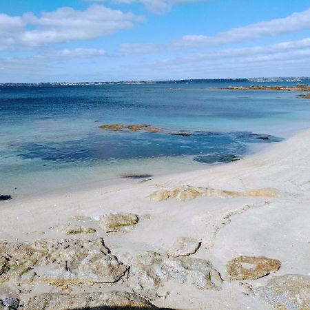 L'Ocean A 100M Via Une Venelle Privee, La Ville Close A 500M, L'Archipel Des Glenan A L'Horizon Concarneau Ngoại thất bức ảnh