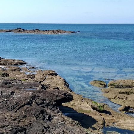 L'Ocean A 100M Via Une Venelle Privee, La Ville Close A 500M, L'Archipel Des Glenan A L'Horizon Concarneau Ngoại thất bức ảnh
